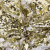Трикотажное полотно, Сетка с пайетками, шир.130 см, #315, цв.-белый/золото - купить в Соликамске. Цена 693.39 руб.