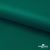 Ткань подкладочная Таффета, 19-5420, 53 г/м2, антистатик, шир. 150 см, вечнозеленый - купить в Соликамске. Цена 57.16 руб.