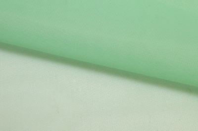 Портьерный капрон 13-6009, 47 гр/м2, шир.300см, цвет св.зелёный - купить в Соликамске. Цена 143.68 руб.