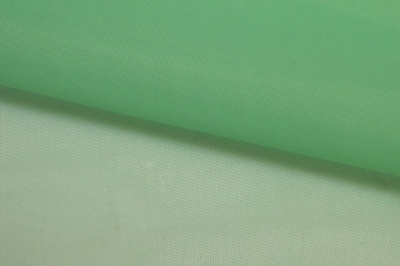 Портьерный капрон 15-6123, 47 гр/м2, шир.300см, цвет св.зелёный - купить в Соликамске. Цена 137.27 руб.
