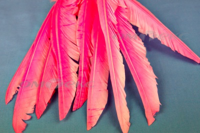 Декоративный Пучок из перьев, перо 25см/розовый - купить в Соликамске. Цена: 14.40 руб.