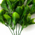 Трава искусственная -1, шт (эвкалипт лист 32 см/8 см)				 - купить в Соликамске. Цена: 169.93 руб.
