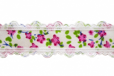 Тесьма декоративная 0385-6170, шир. 25 мм/уп. 22,8+/-1 м, цвет 02-розовый - купить в Соликамске. Цена: 364.70 руб.