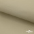 Ткань подкладочная TWILL 230T 14-1108, беж светлый 100% полиэстер,66 г/м2, шир.150 cм - купить в Соликамске. Цена 90.59 руб.