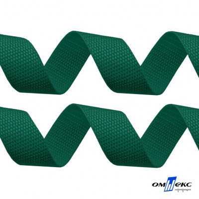 Зелёный- цв.876 -Текстильная лента-стропа 550 гр/м2 ,100% пэ шир.20 мм (боб.50+/-1 м) - купить в Соликамске. Цена: 318.85 руб.
