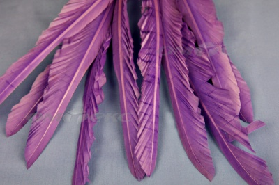 Декоративный Пучок из перьев, перо 25см/фиолетовый - купить в Соликамске. Цена: 12.19 руб.
