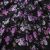 Плательная ткань "Фламенко" 20.1, 80 гр/м2, шир.150 см, принт растительный - купить в Соликамске. Цена 241.49 руб.